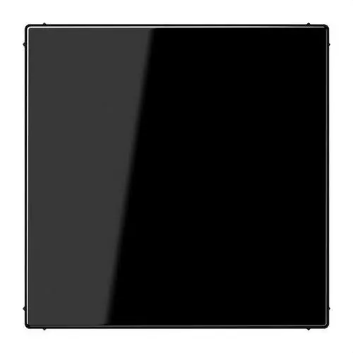 Novedad PLACA CIEGA NEGRO