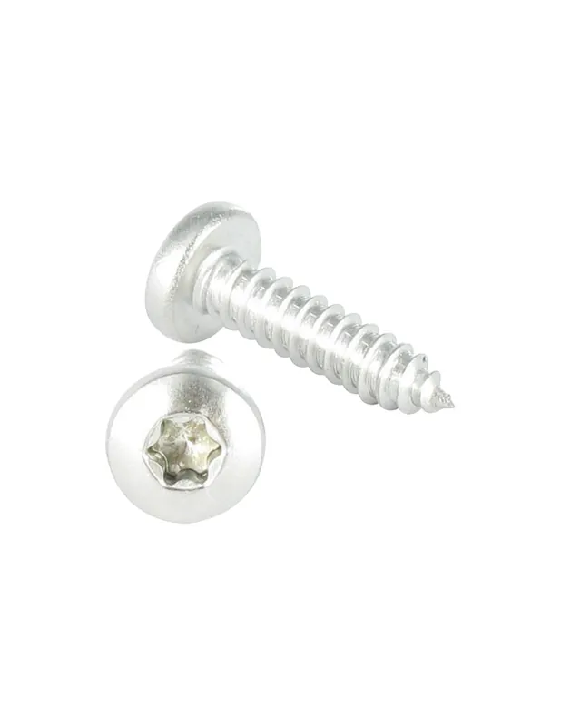 Stock Limitado 1 x Tornillo chapa cabeza cilíndrica ancha cabeza cilíndrica abombada ancha TCBL 4.8X100 Inoxidable A2 TORX T25