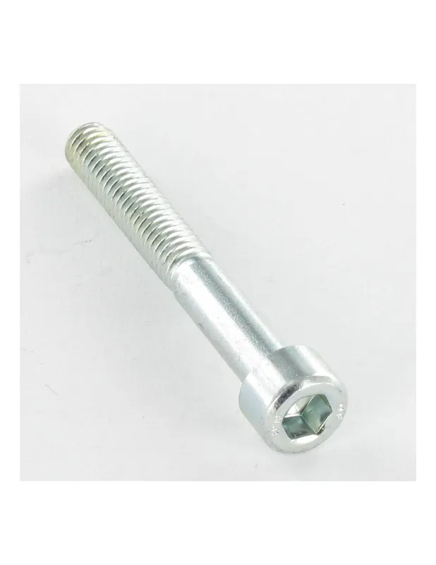 Envío Inmediato 1 x Tornillo metales CHC BTR M10X55 roscado en 32 Clase 8.8 llave de 8 Acero cincado blanco