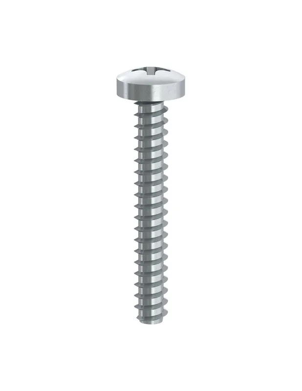 De Moda 1 x Tornillo chapa cabeza cilíndrica TC phillips de 1 sin punta 2.9X19 Acero cincado blanco